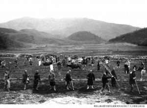 真如禅寺 云居山 Cloud Abode Mountain. The farm.